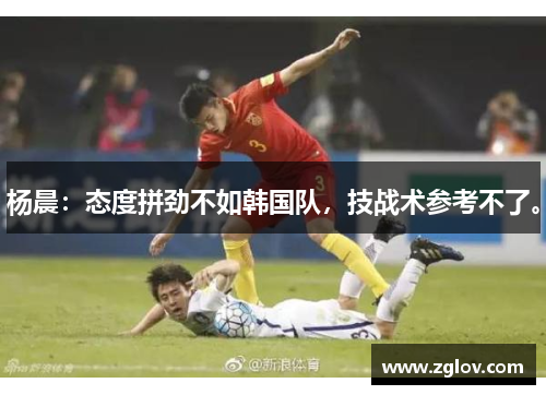 杨晨：态度拼劲不如韩国队，技战术参考不了。